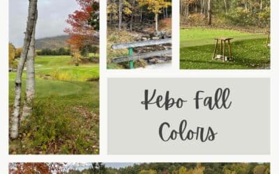 Fall Colors on Display at Kebo and Week of October 16th Results